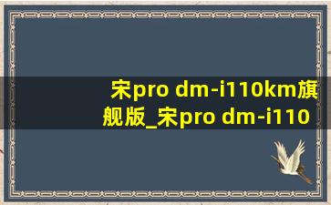 宋pro dm-i110km旗舰版_宋pro dm-i110km旗舰版pro